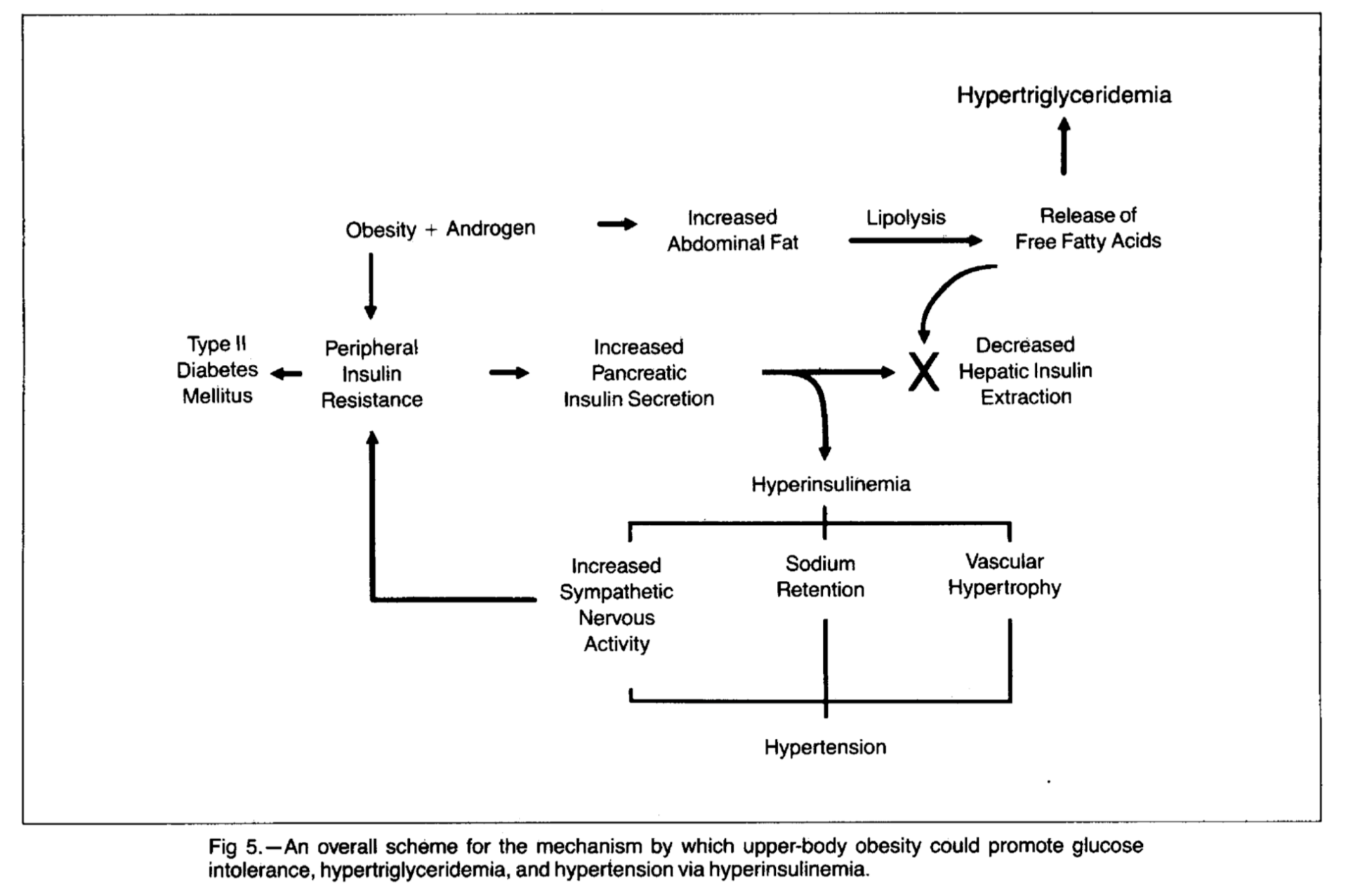 CrossFit Dr. Kaplan and the Deadly Quartet
