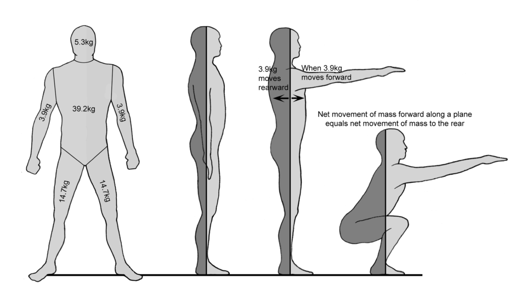 A diagram showing how the body maintains equilibrium during simple movements such as shoulder flexion and complex movements such as a squat.