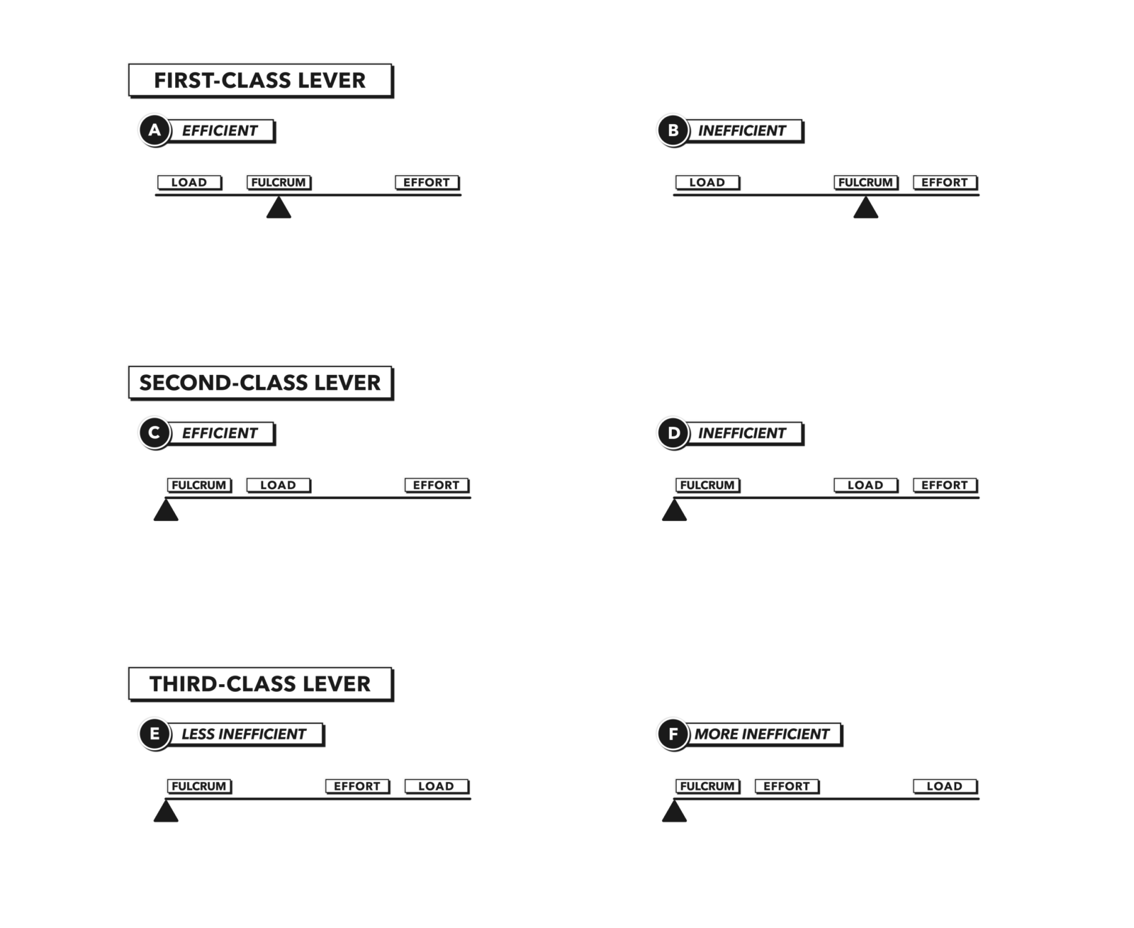 CrossFit Anatomy of Levers, Part 6 Lever Efficiency