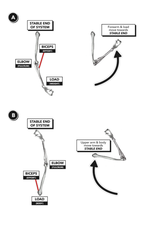 lever change 2