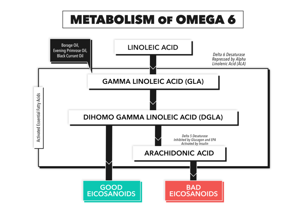 Omega6