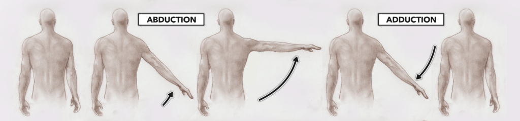 CrossFit Movement About Joints Part 1: The Shoulder