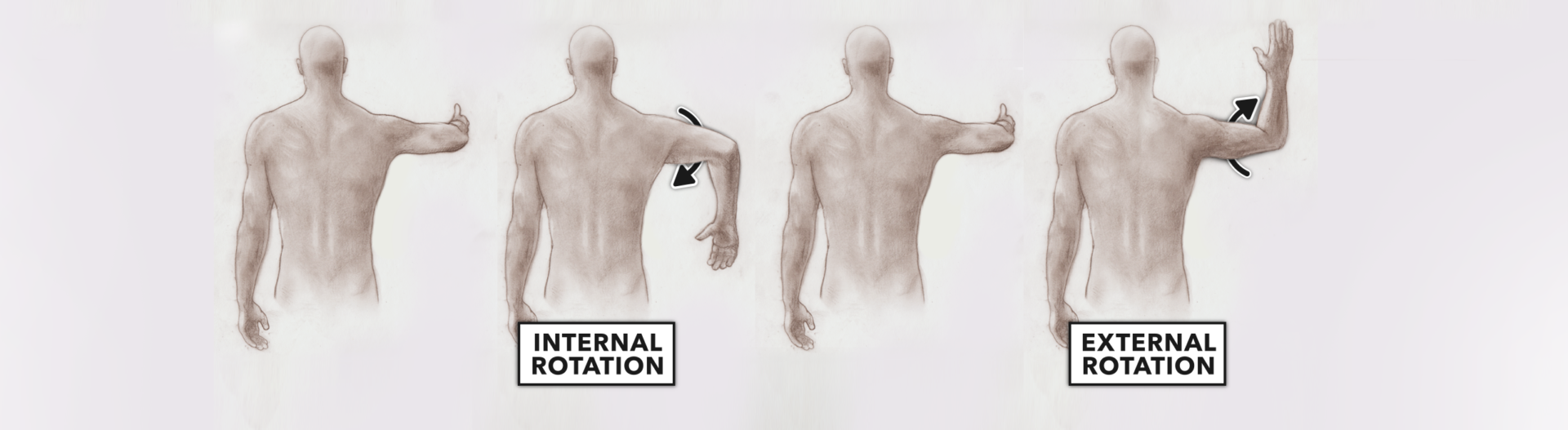 CrossFit Movement About Joints, Part 1 The Shoulder