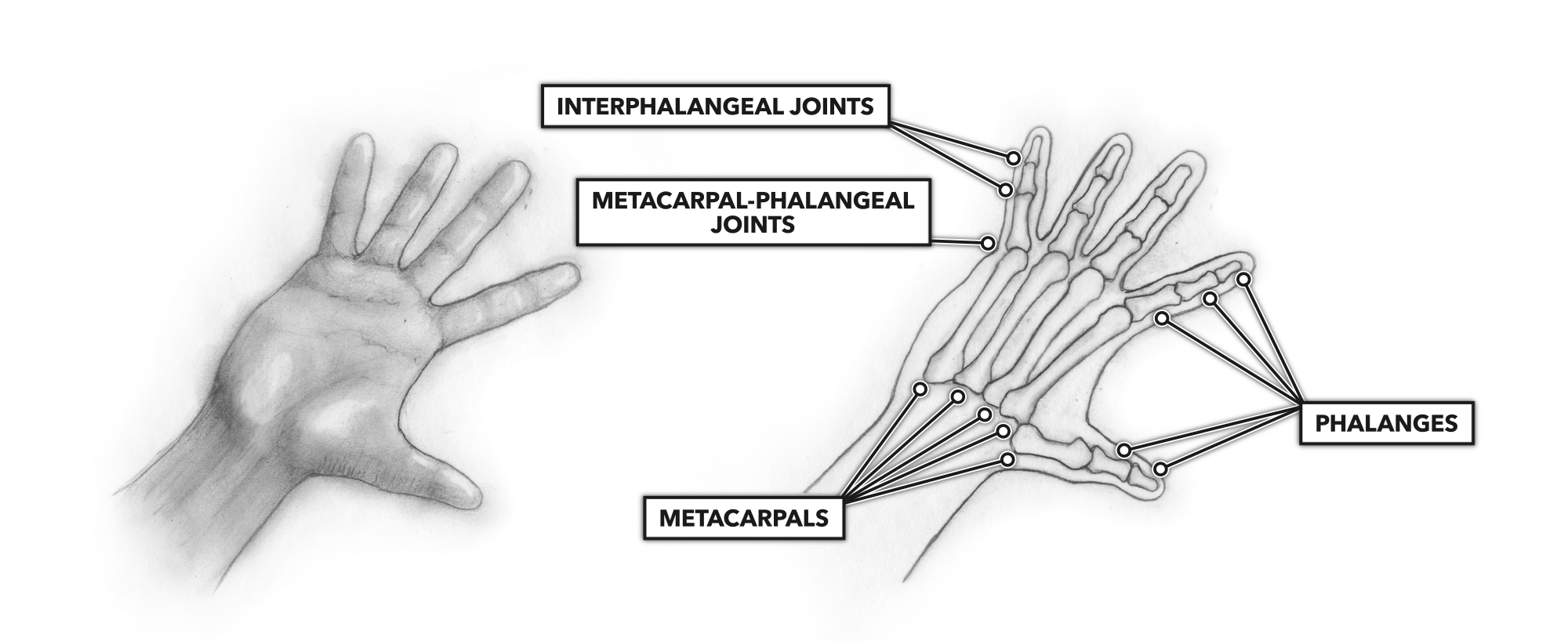 action fingers