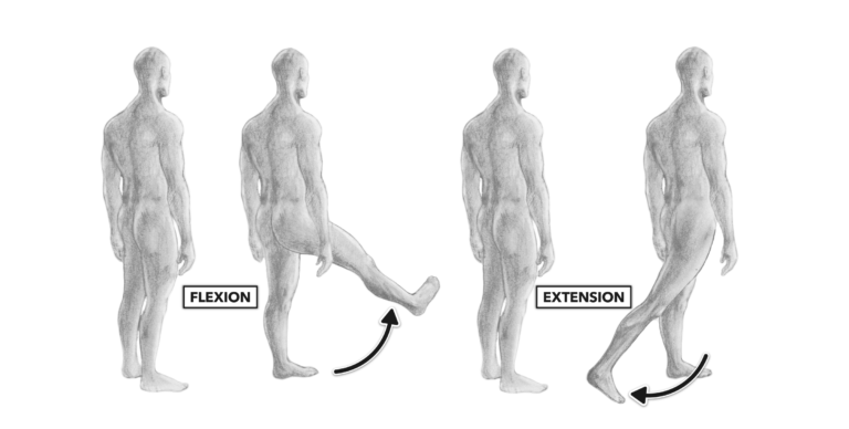 Leg flexion and extension clearance