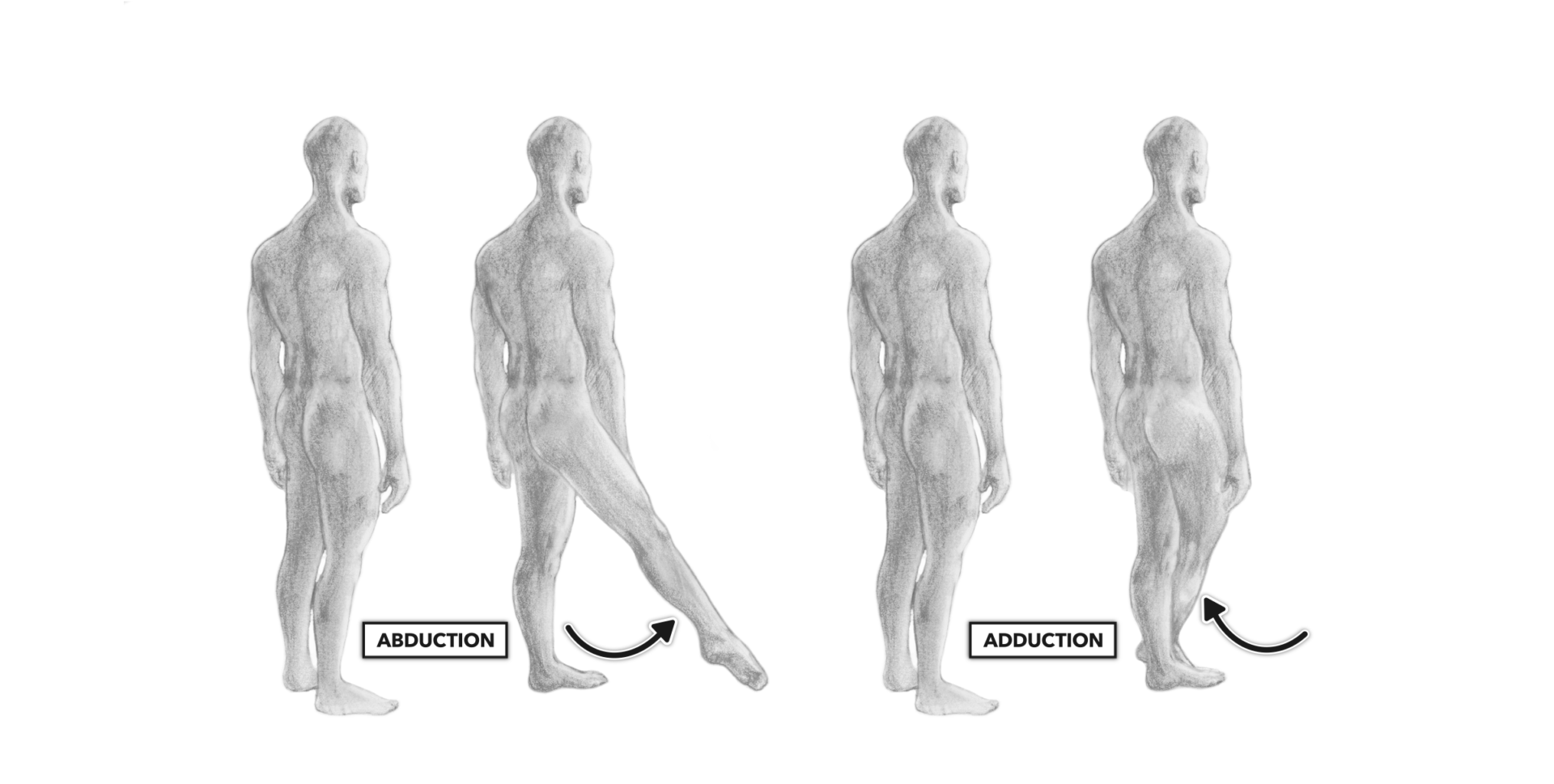 abduction adduction abduction adduction