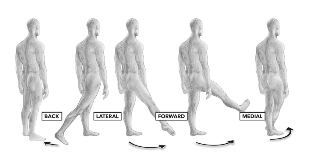 CrossFit Movement about Joints, Part 5 The Hip