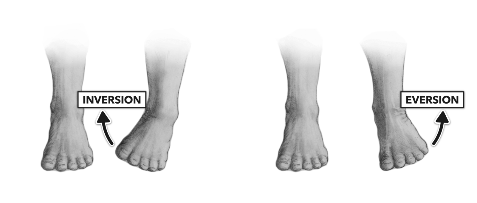 CrossFit Movement About Joints, Part 7 The Ankle