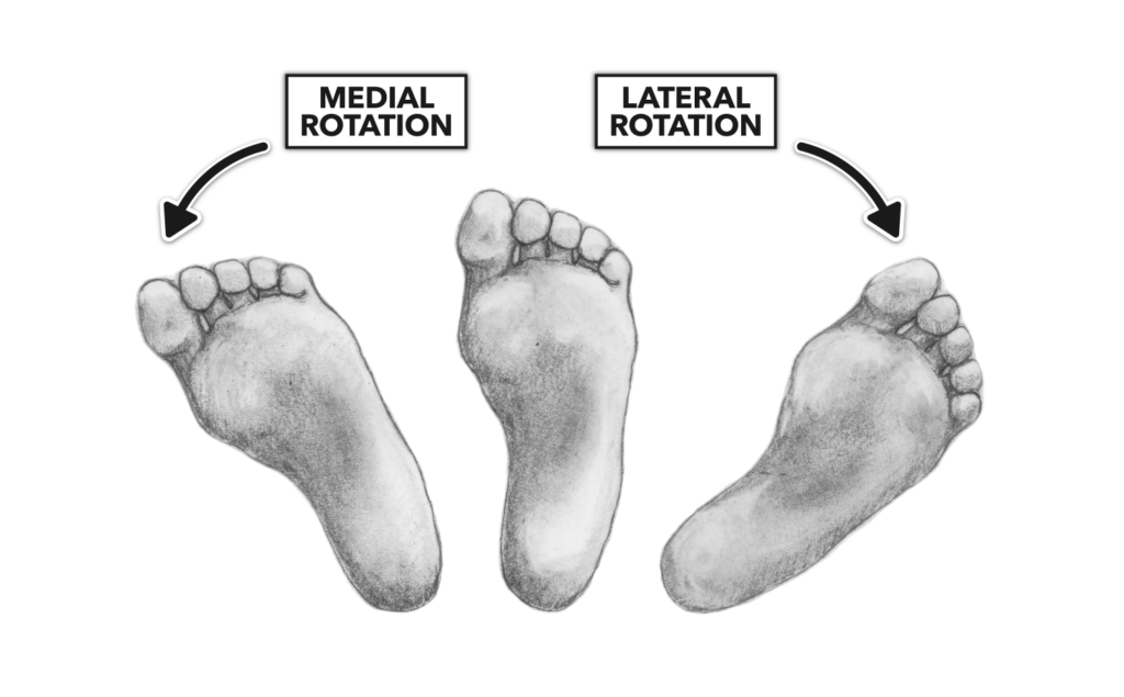 CrossFit Movement About Joints, Part 7 The Ankle