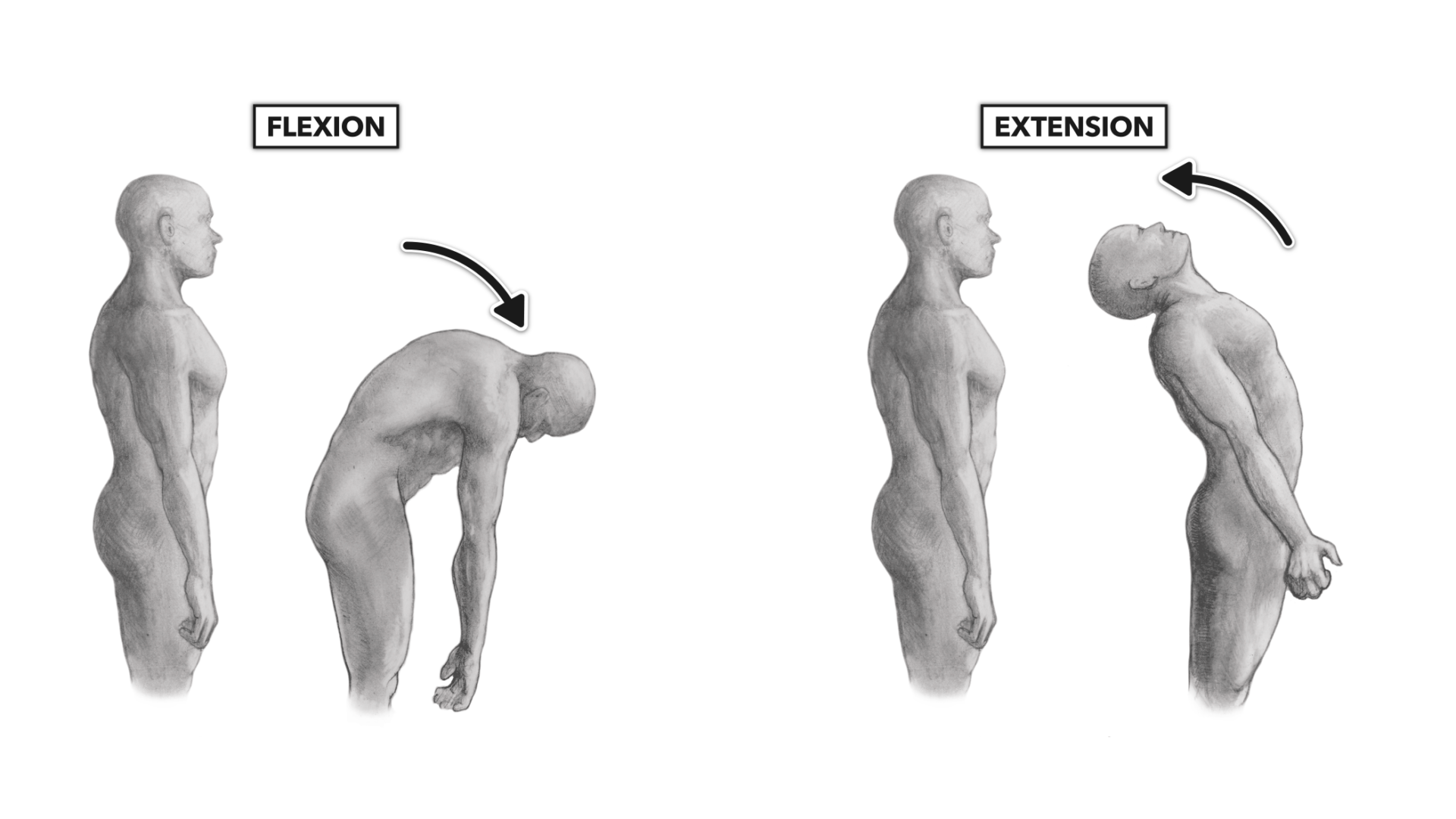 Everpert Fitness Reaktionsball Field Trainingsball für die Entwicklung von 