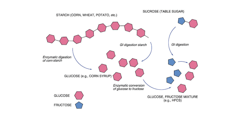 Crossfit An Introduction To Metabolism