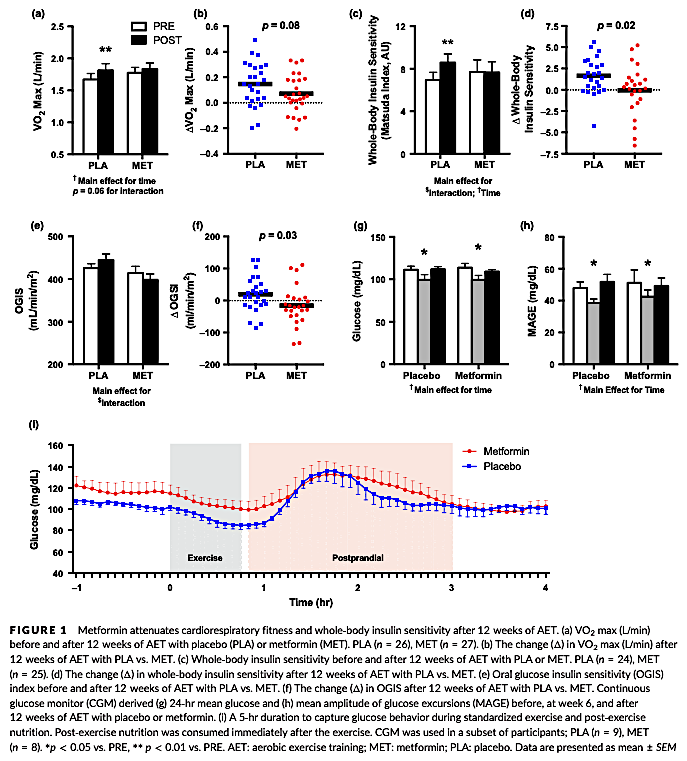 Crossfit Metformin Inhibits Mitochondrial Adaptations To Aerobic