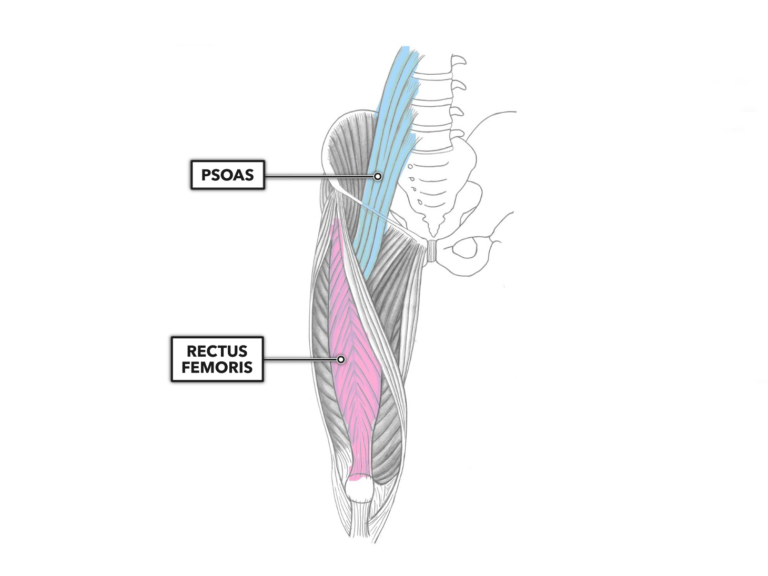 CrossFit  Training the GHD Sit-Up