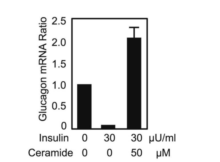 Cultured Alpha Cells