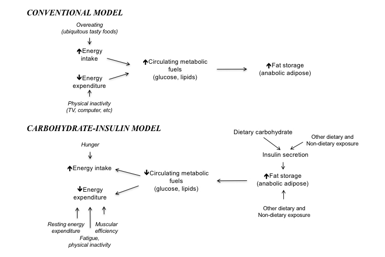 crossfit-the-carbohydrate-insulin-model-of-obesity-beyond-calories-in-calories-out