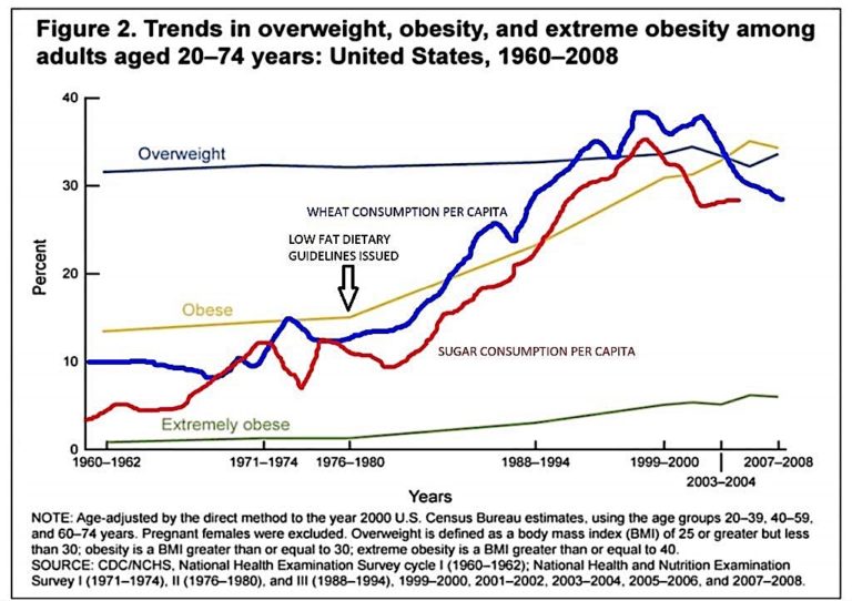 Obesity Rates