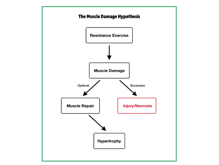 konkurs deadline eftermiddag CrossFit | Muscle Damage for Size and Strength?