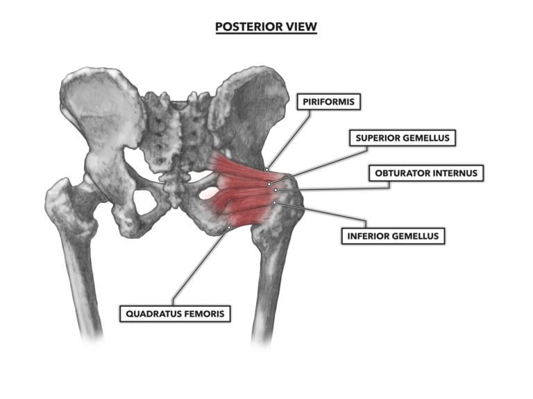 CrossFit | Hip Musculature, Part 2: Posterior Muscles