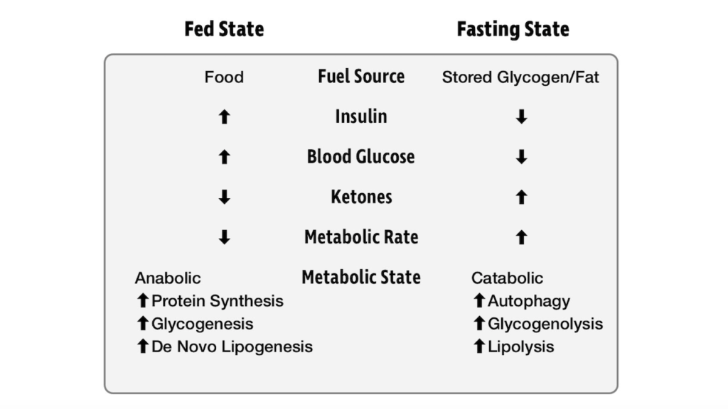 Fed/Fasted State