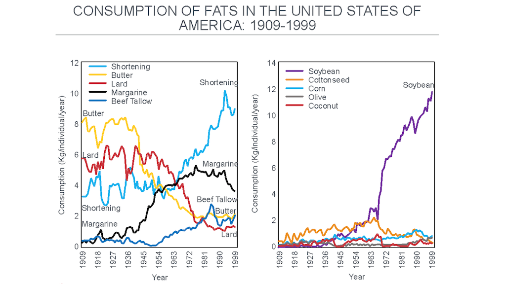 Fat Consumption