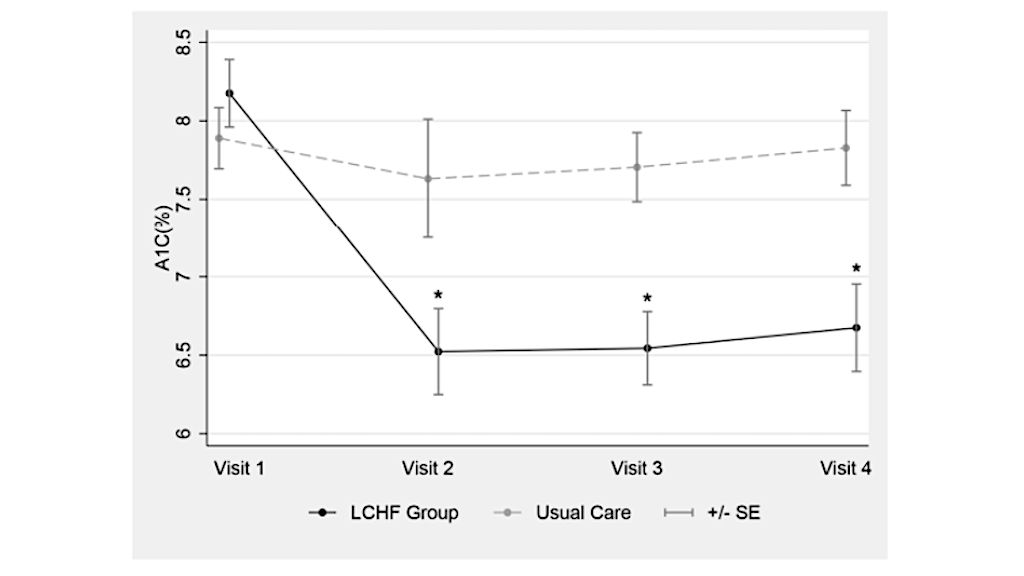 CrossFit | Effects of the Low Carbohydrate, High Fat Diet on Glycemic ...