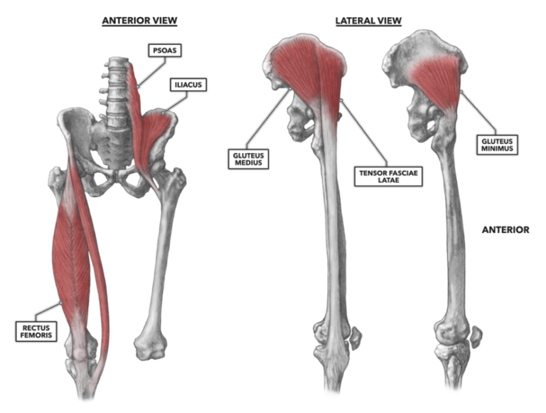 CrossFit | Midline Stability, Part 2: Power and Posture