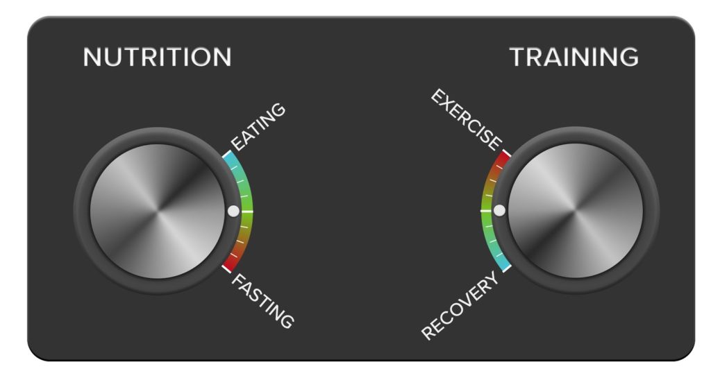Nutrition and Training Dials