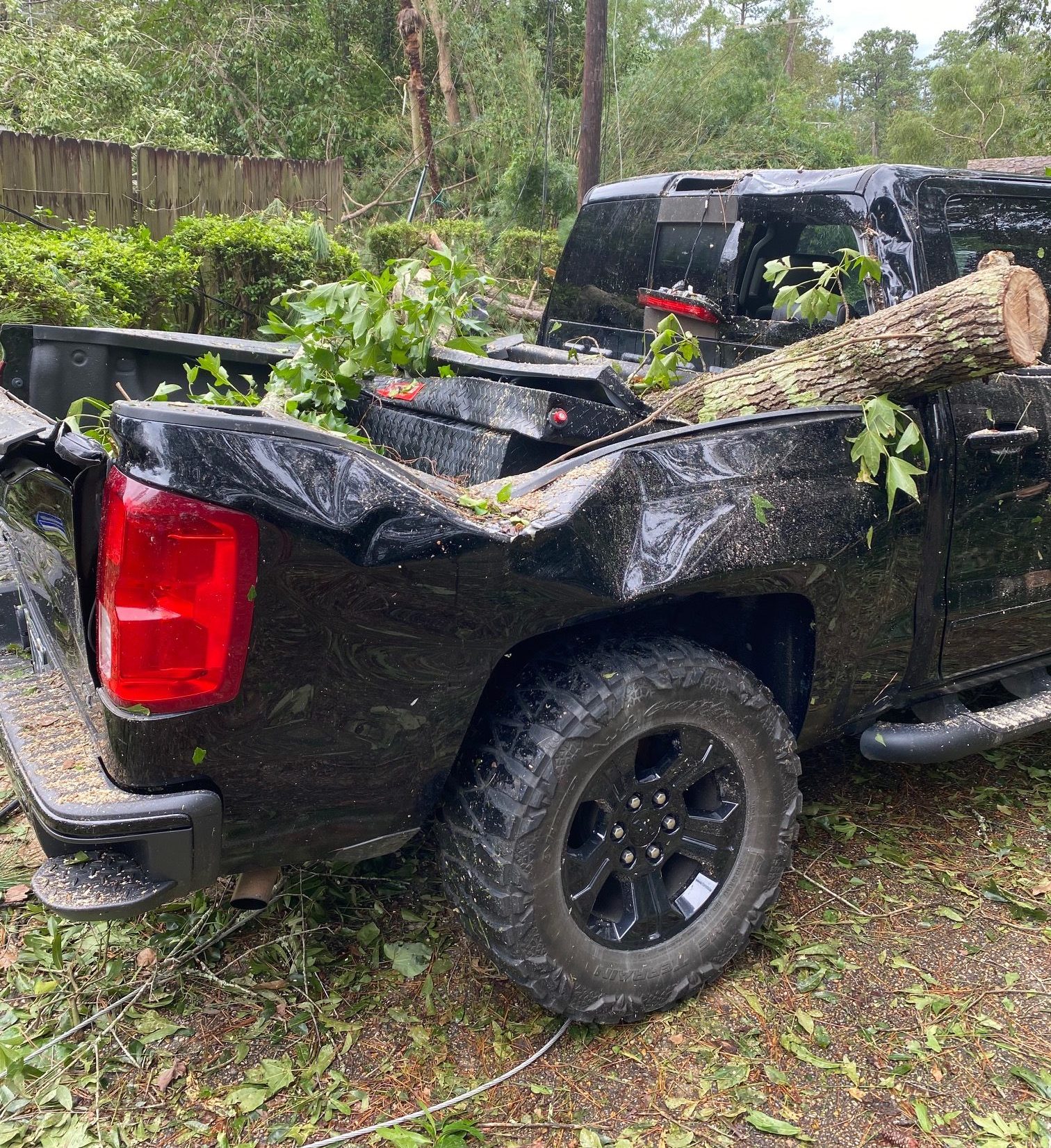 A pick-up truck is crushed by a tree after Hurricane Ida.