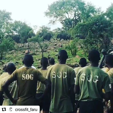 CrossFit Faru scouts guard elephants in the Serengeti