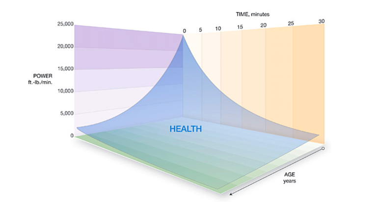 A Graphical Representation of One’s Health (Fitness Throughout His or Her Life).