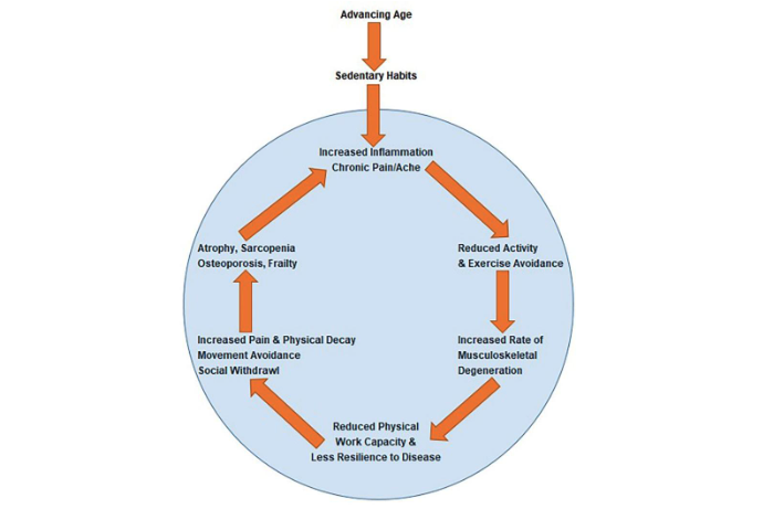 Diagram of the inertia of aging.