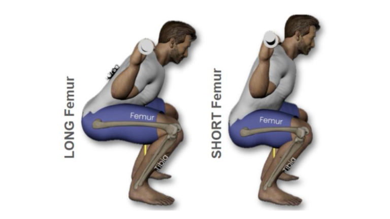 image of CrossFit athlete's femur length