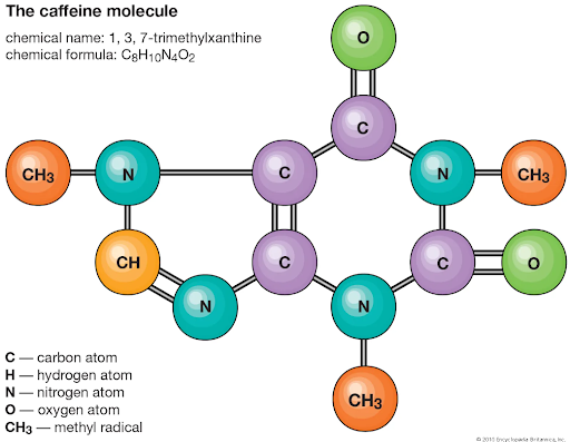 Caffeine molecule