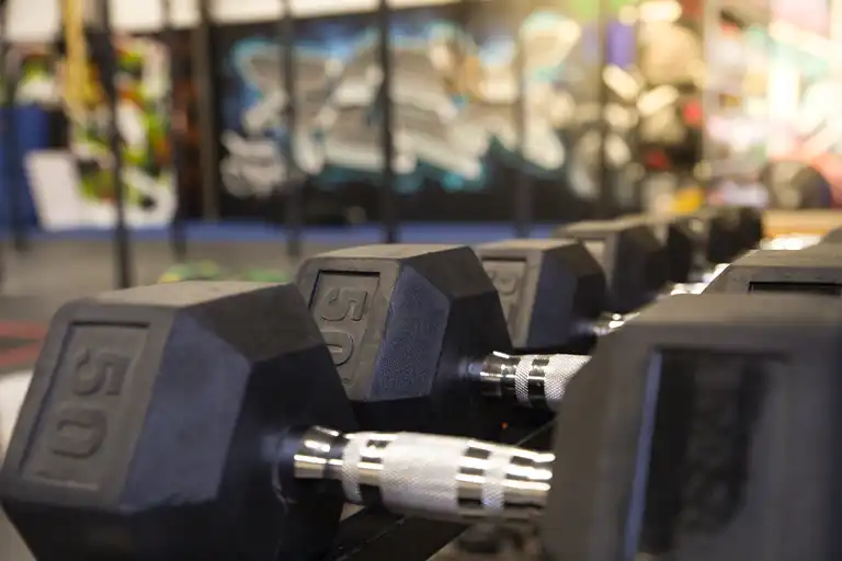 Mallard CrossFit — Crossfit gym in Burlington, WA