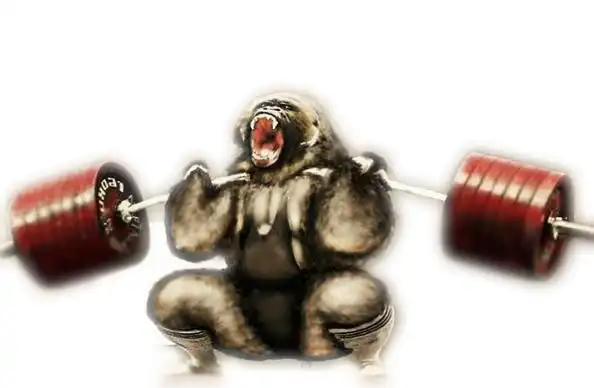 CrossFit Crush — Crossfit gym in Aurora, CO