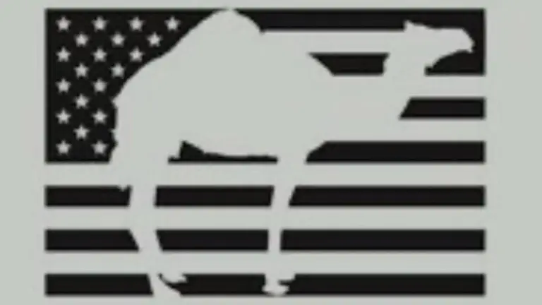 Camel City CrossFit — Crossfit gym in Winston-Salem, NC