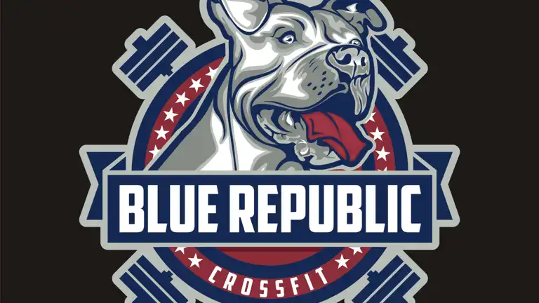 Blue Republic CrossFit — Crossfit gym in Santa Monica, CA