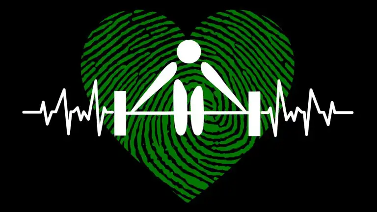 Fíor Fitness CrossFit — Crossfit gym in San Francisco, CA