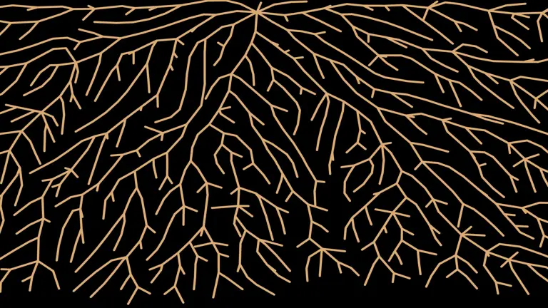 Rooted CrossFit — Crossfit gym in Pickford, MI