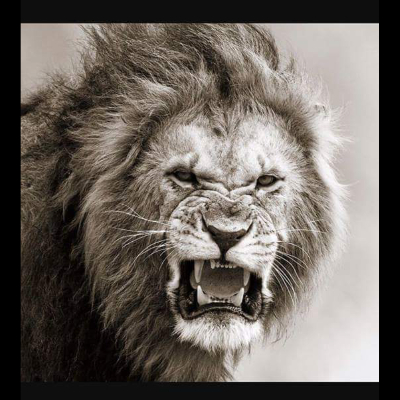 Teams Affiliate Logo