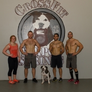 Teams Affiliate Logo