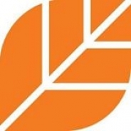 Teams Affiliate Logo